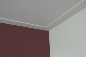 Mogelijkheden voor uw plafond, ook met ornamenten 3